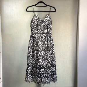 Beautiful Elliatt black and white dress!